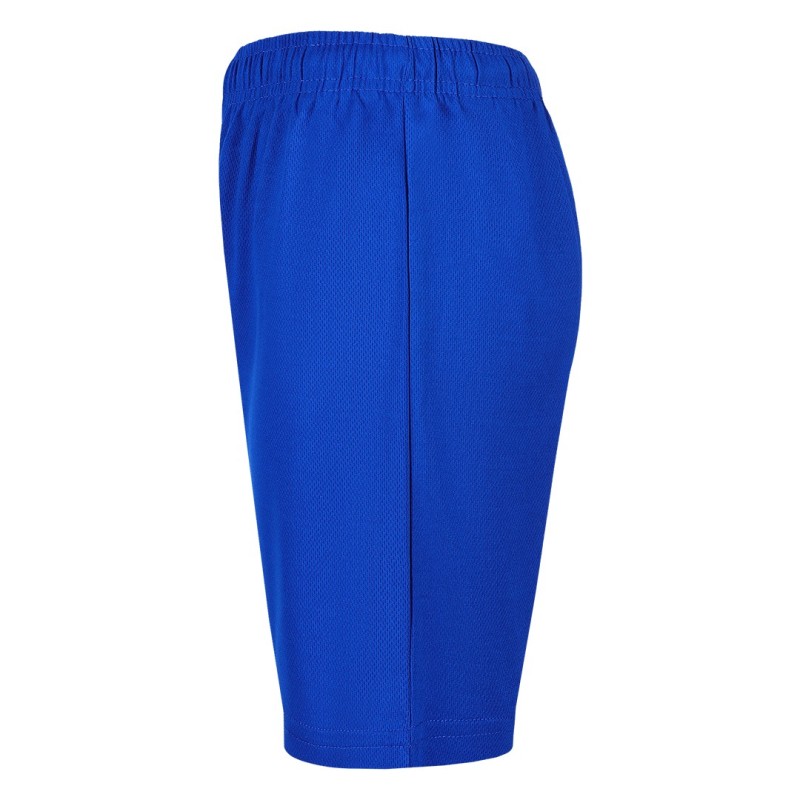 SPORTY, men's sports shorts, royal blue