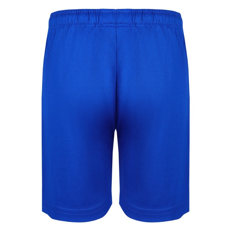 SPORTY, men's sports shorts, royal blue